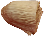 Feuille de maïs